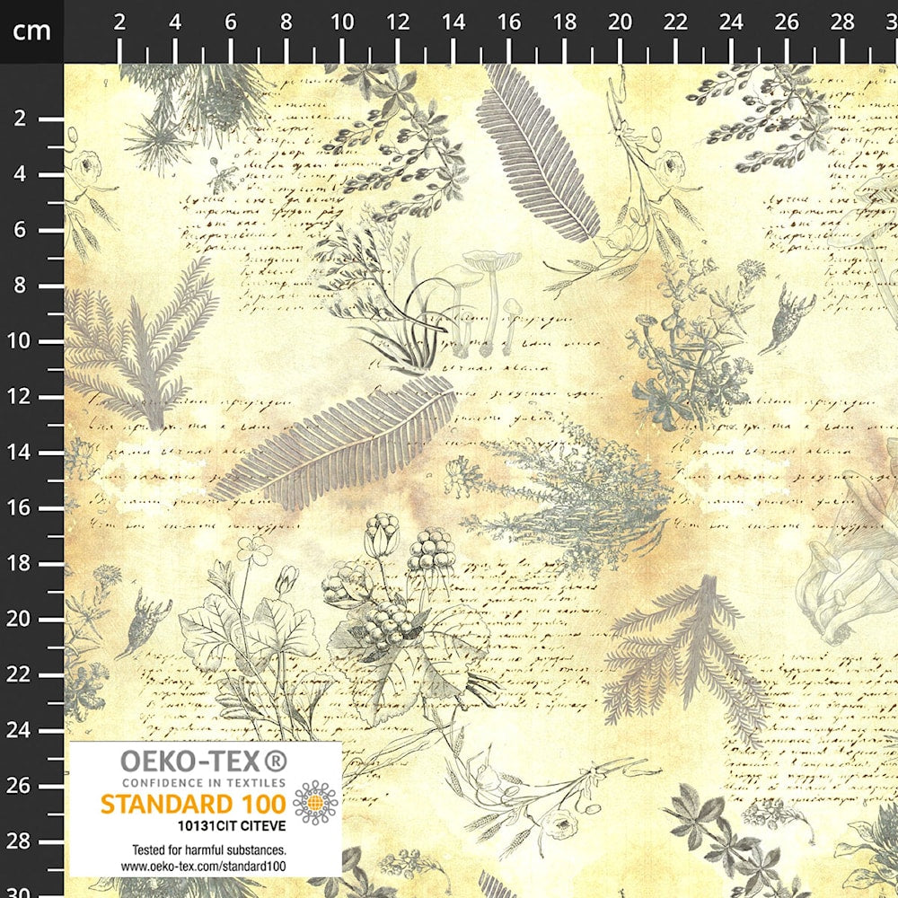 Herbarium - Botanical Journal - light yellow, parchment