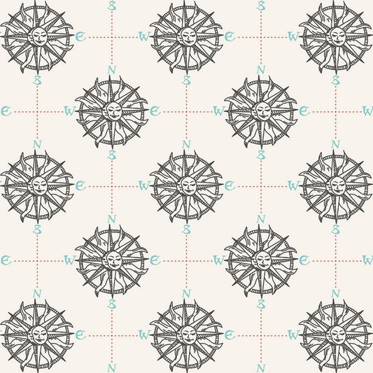 Smooth Seas - Compass - Pacific Fabric